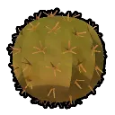 PEAKi_cactus