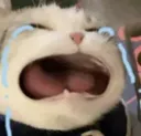 z_crying