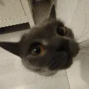 silly_charli