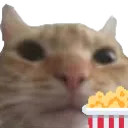swagpoocorn