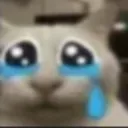emotionadamage