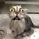 Screenshot_20251212_123757