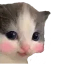 hehe