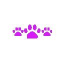 67512purplecatpaws