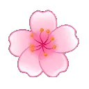cherryblossom
