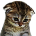 03sad Discord Emoji - Dixo I مجتمع