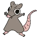 ratsurprise