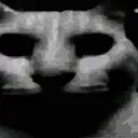 uncannycat