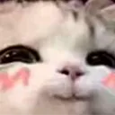 cathehehe