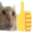 cat_thumb