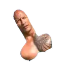 rock_cock