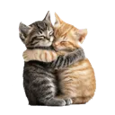 emoji_8