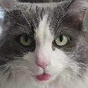 mlem