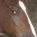 suspicious suspicious