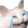 catcry Discord emoji