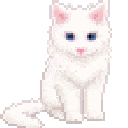 ccatpat