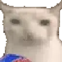 cat_munch