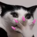 hnsOhdearCatOwO hnsOhdearCatOwO