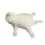 cat_plop