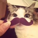 cat custom emote | no drugs, no fun