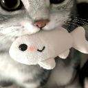 fish Discord Emoji - no drugs, no fun