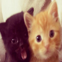 catas Discord sticker from no drugs, no fun