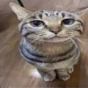 uhh custom emote | no drugs, no fun