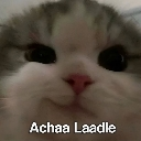 achaLadle Discord sticker from Talking buddies