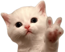 kittenpeace custom emote from The GOON haunts me