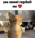 Ragebait custom emote - The GOON haunts me