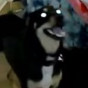 scarymina Discord Emoji from The GOON haunts me