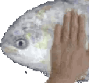 :patfish:
