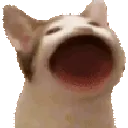 pop