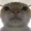 stare