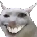 catsmile