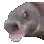 emoji_54