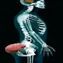 bootybrain