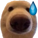 dawgnervous Discord sticker from || mongrel mutts