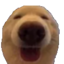 dawg Discord Emoji - || mongrel mutts