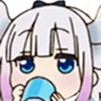 sip