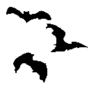 black_bats animated Discord emote - 2904ᵀᴹ • Social •  Chill •  Hangout