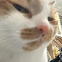 sideeye