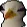 birdsus