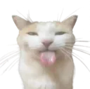 emoji_17
