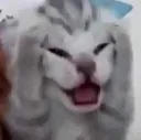 emoji_19
