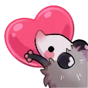 Opossum_Heart