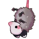 Opossum_Hang