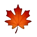 MapleLeaf