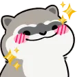 Raccoon_Smile