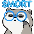 Raccoon_Smort